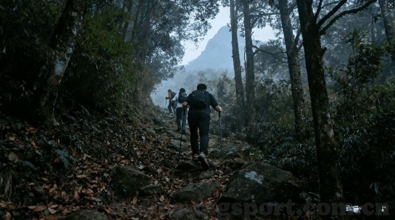 世界杯赛事竞猜系统-世界杯赛事竞猜系统,智能预测与互动体验的创新融合